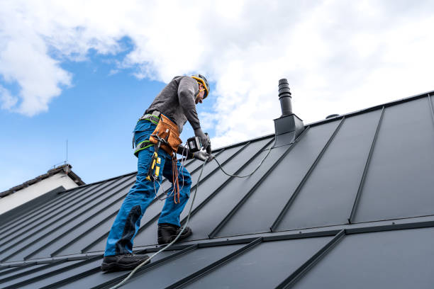 Best Solar Panel Roofing Installation  in Dayton, NV